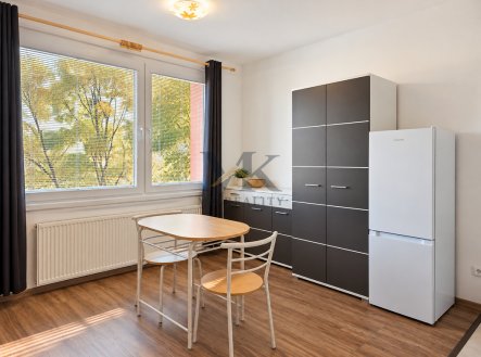 Pronájem bytu, 1+kk, 21 m²