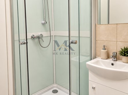 Pronájem bytu, 1+kk, 21 m²
