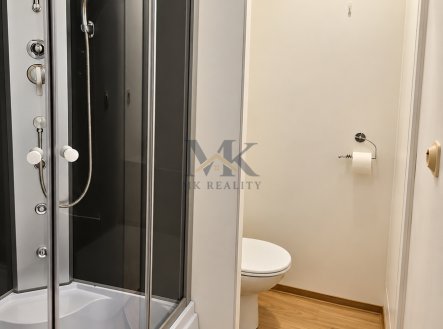 Pronájem bytu, 1+kk, 20 m²