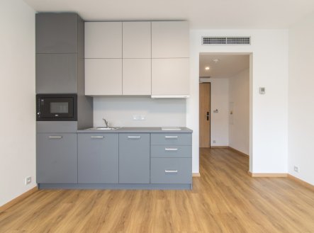 Pronájem bytu, 1+kk, 21 m²