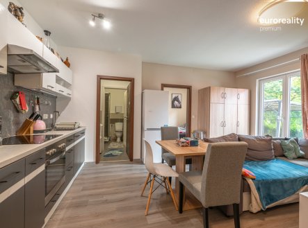 Pronájem bytu, 2+kk, 533 m²