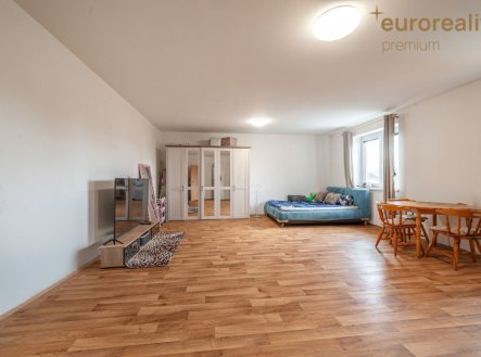 Pronájem bytu, 1+kk, 780 m²