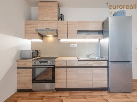 Pronájem bytu, 1+kk, 780 m²