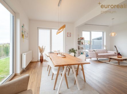 Pronájem domu/vily, 100 m²
