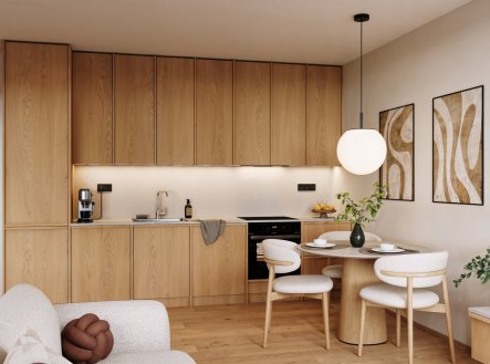 Prodej bytu, 1+kk, 42 m²