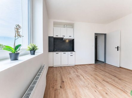 Pronájem bytu, 1+kk, 22 m²