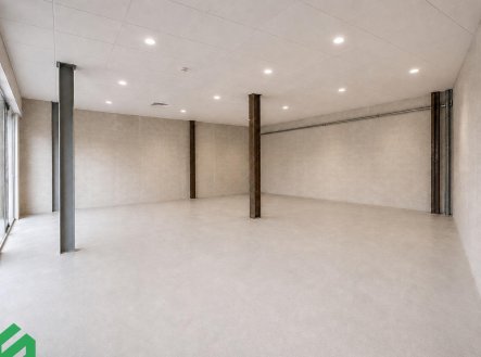 Pronájem obchodní prostory, 77 m²