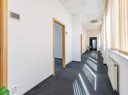 Pronájem kanceláře, 38 m²