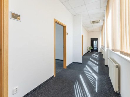 Pronájem kanceláře, 18 m²