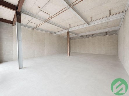 Pronájem obchodní prostory, 124 m²