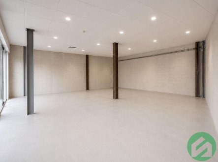 Pronájem obchodní prostory, 154 m²
