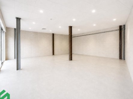 Pronájem obchodní prostory, 154 m²