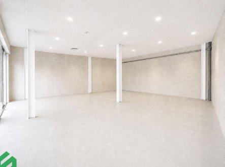 Pronájem obchodní prostory, 154 m²