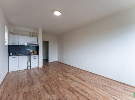 Pronájem bytu, 1+kk, 27 m²
