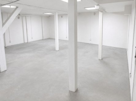 Pronájem výrobní prostory, 75 m² obrázek