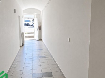 Pronájem domu/vily, 400 m²