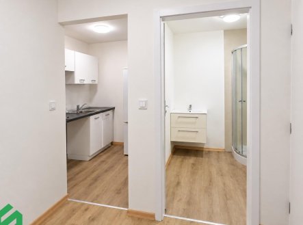 Pronájem bytu, jiný, 12 m²
