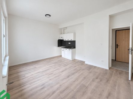Pronájem bytu, 1+kk, 30 m²