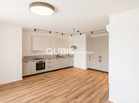 Pronájem bytu, 4+kk, 158 m²