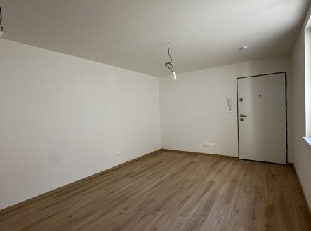 Prodej bytu, 1+kk, 25 m²