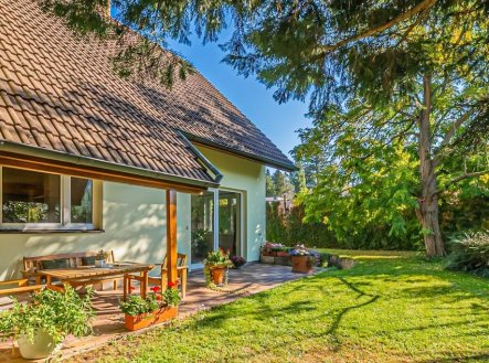 Prodej domu/vily, 360 m²