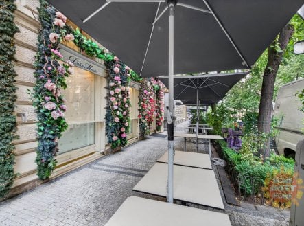 Pronájem obchodní prostory, 225 m²