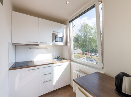 Pronájem bytu, 1+kk, 30 m²