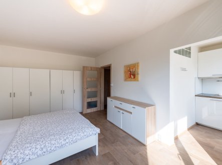 Pronájem bytu, 1+kk, 30 m²