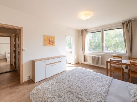 Pronájem bytu, 1+kk, 30 m²