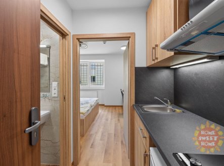 Pronájem bytu, 1+kk, 18 m²