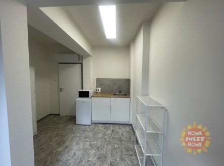 Pronájem bytu, jiný, 14 m²