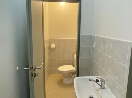 Pronájem bytu, jiný, 12 m²