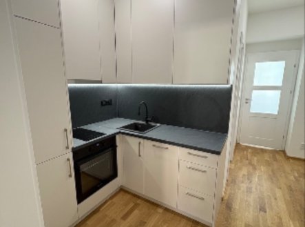 Pronájem bytu, 1+1, 41 m²