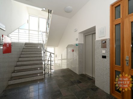 Pronájem kanceláře, 20 m²
