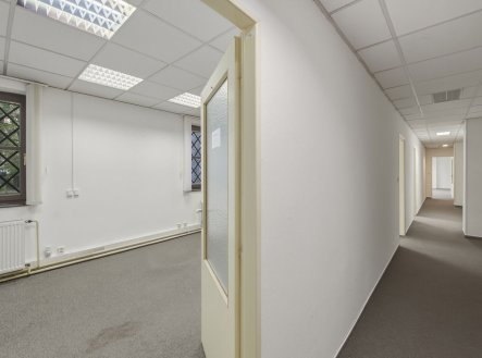 Pronájem kanceláře, 849 m²