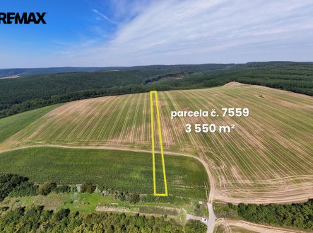 Prodej pozemku, zemědělská půda, 5 541 m²