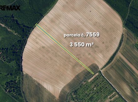 Prodej pozemku, zemědělská půda, 5 541 m²