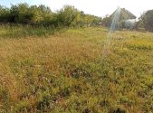 Prodej pozemku, zahrada, 730 m²