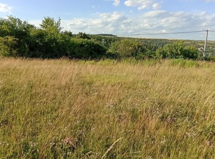 Prodej pozemku, zahrada, 730 m²