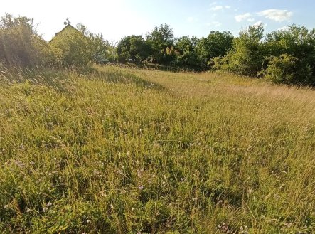 Prodej pozemku, zahrada, 730 m²