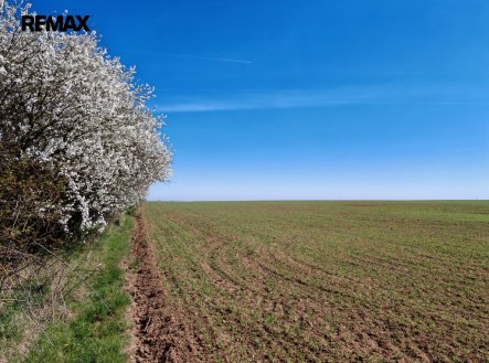 Prodej pozemku, zemědělská půda, 29 272 m²