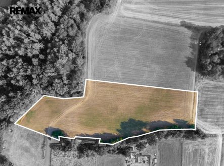 Prodej pozemku, zemědělská půda, 11 767 m²