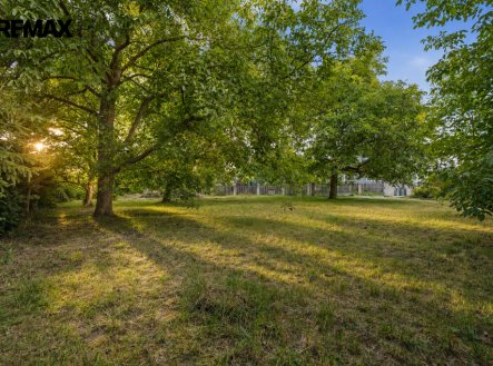 Prodej pozemku pro bydlení, 1 063 m²
