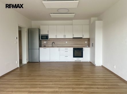 Pronájem bytu, 4+kk, 4 381 m²