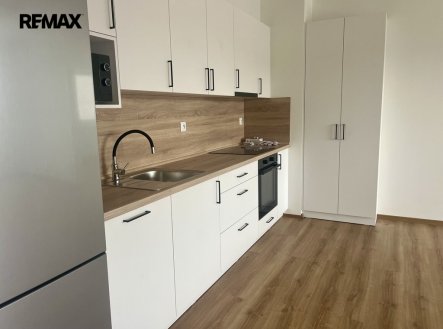 Pronájem bytu, 4+kk, 4 381 m²