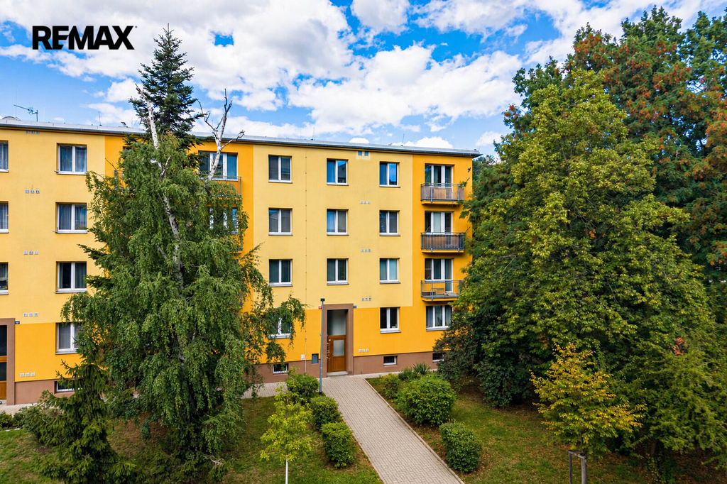 zelenecska-2026-02.jpg