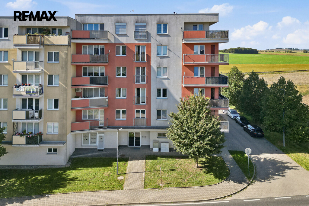 brandys-3.jpg