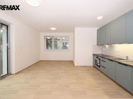 dsc-9586-svetlejsi.jpg | Pronájem bytu, 3+kk, 67 m²
