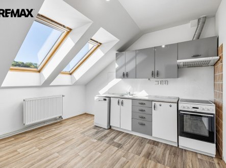 Pronájem bytu, 1+1, 46 m²