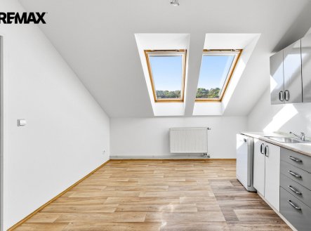 Pronájem bytu, 1+1, 46 m²